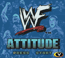 WWF - Attitude